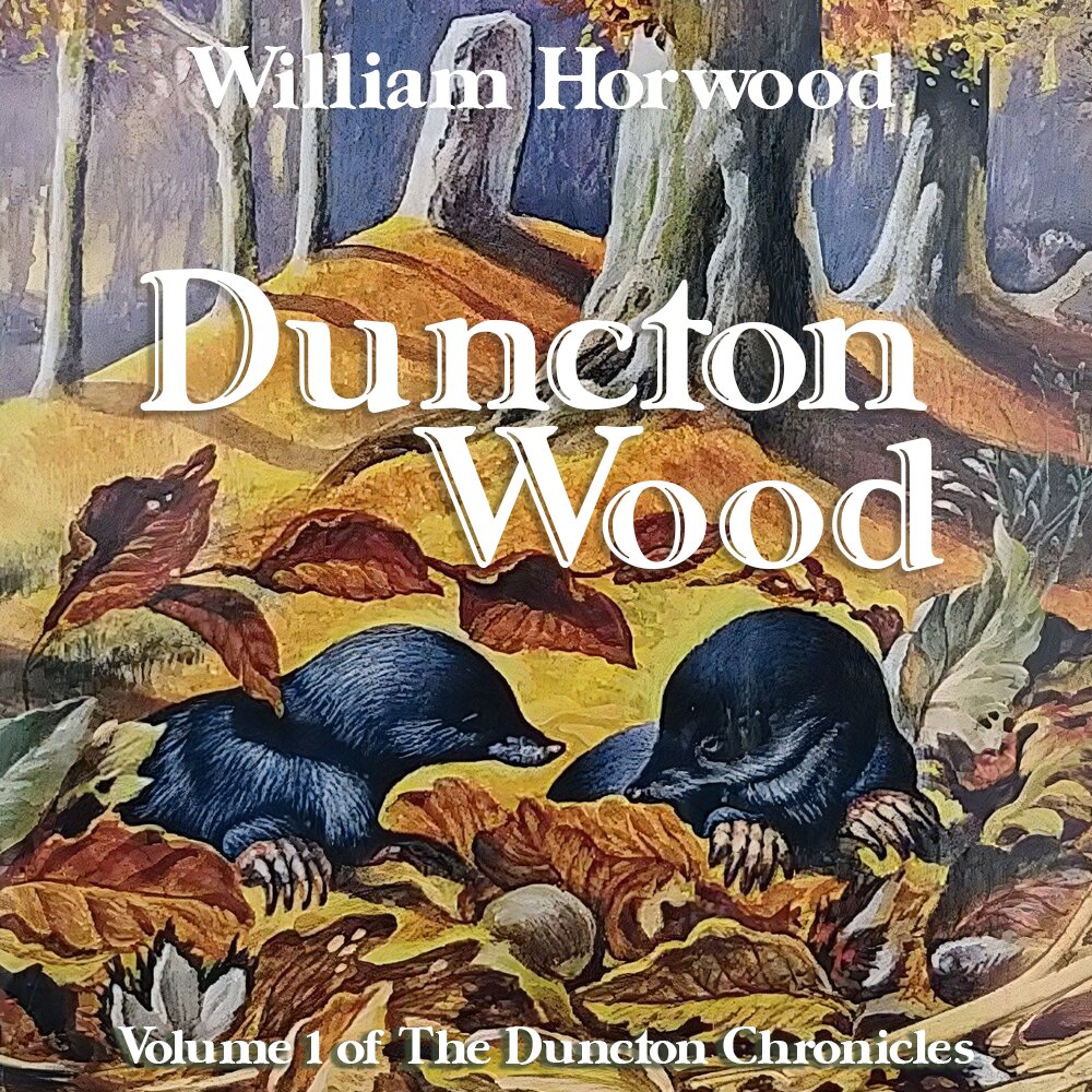 Audiobook cover