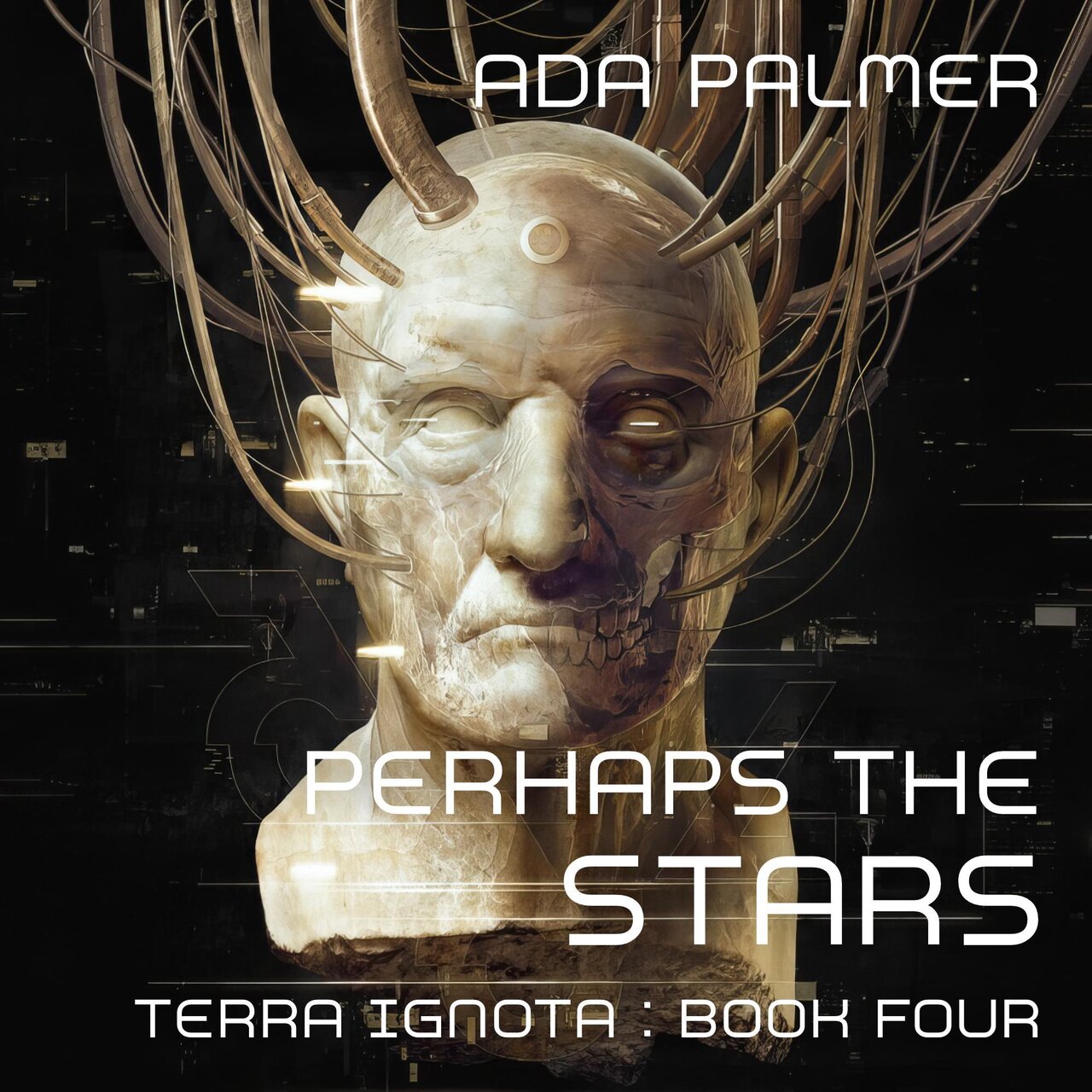 Audiobook cover for Perhaps the Stars