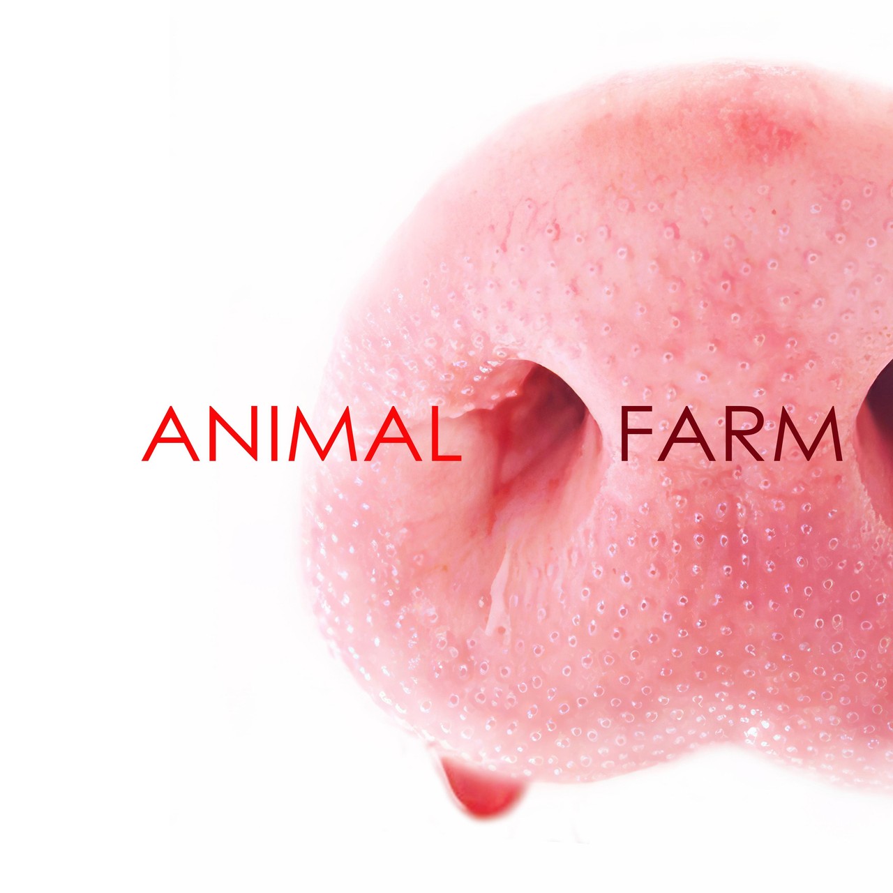 Audiobook cover for Animal Farm