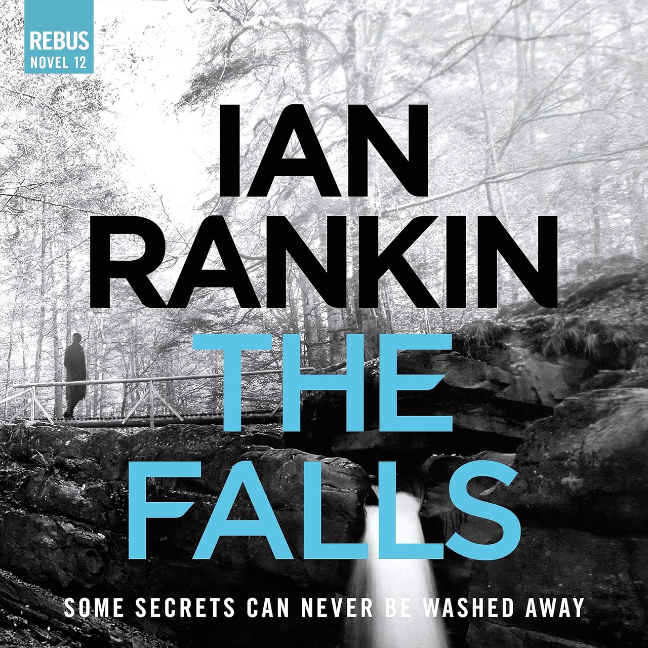 Audiobook cover for The Falls