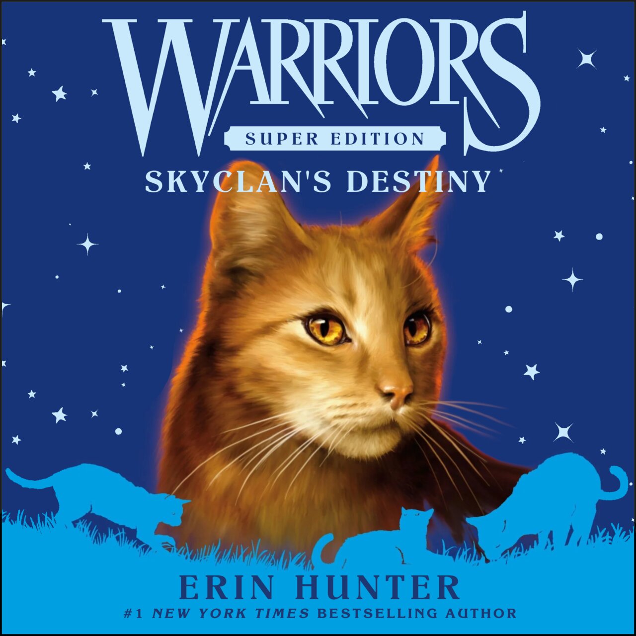 Audiobook cover for Skyclan's Destiny