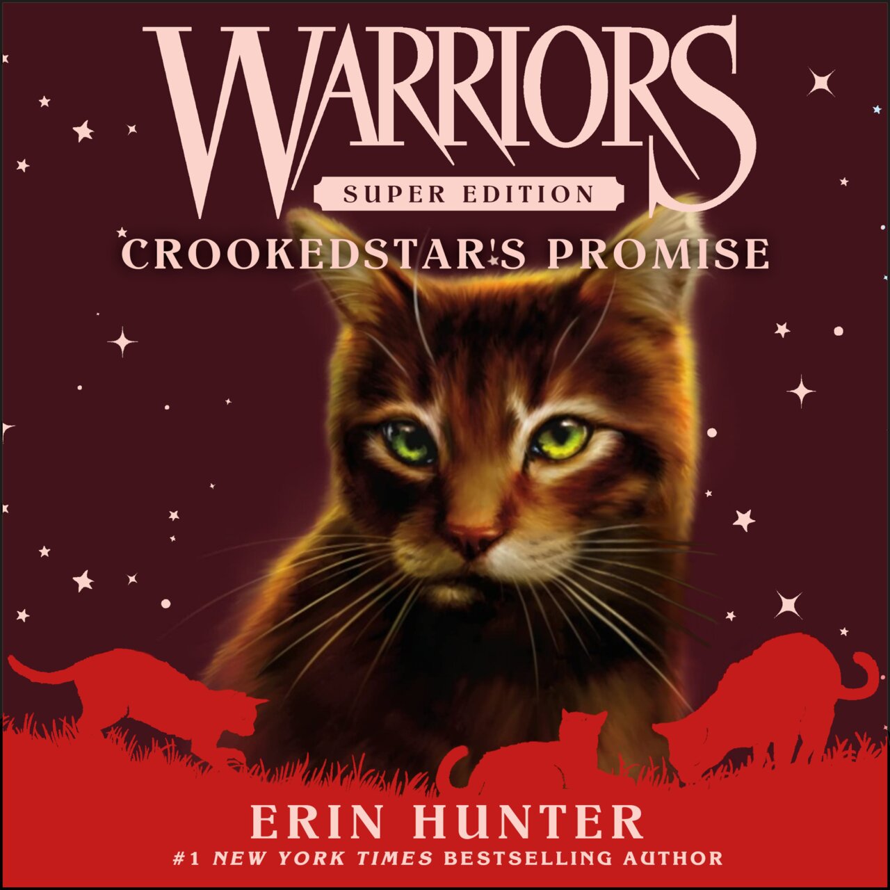 Audiobook cover for Crookedstar's Promise