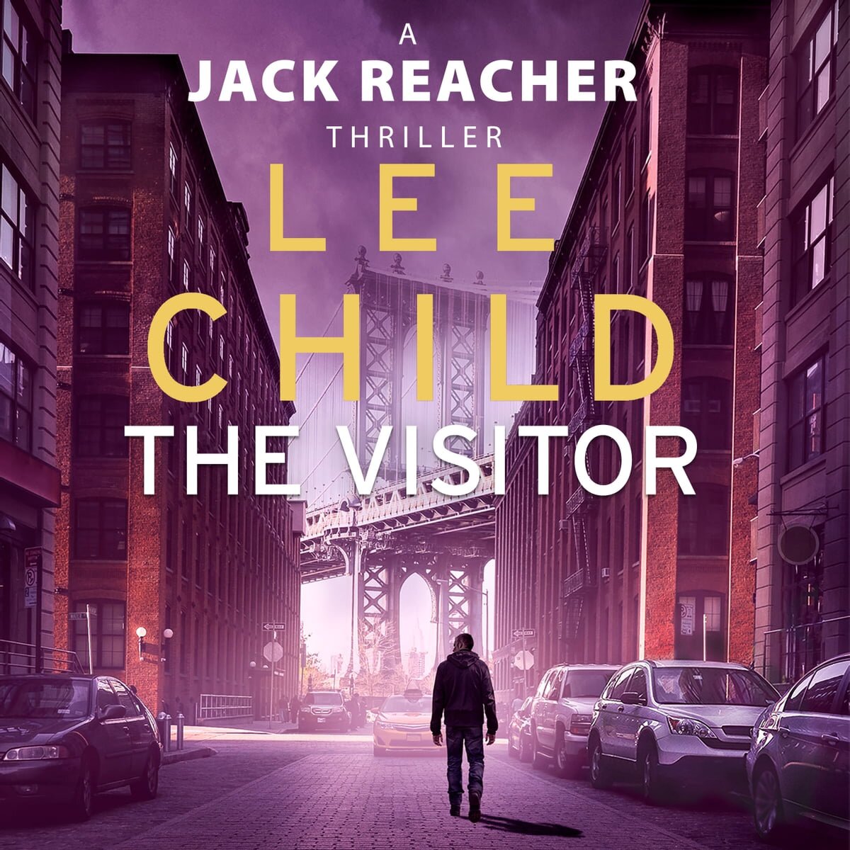 Audiobook cover for The Visitor