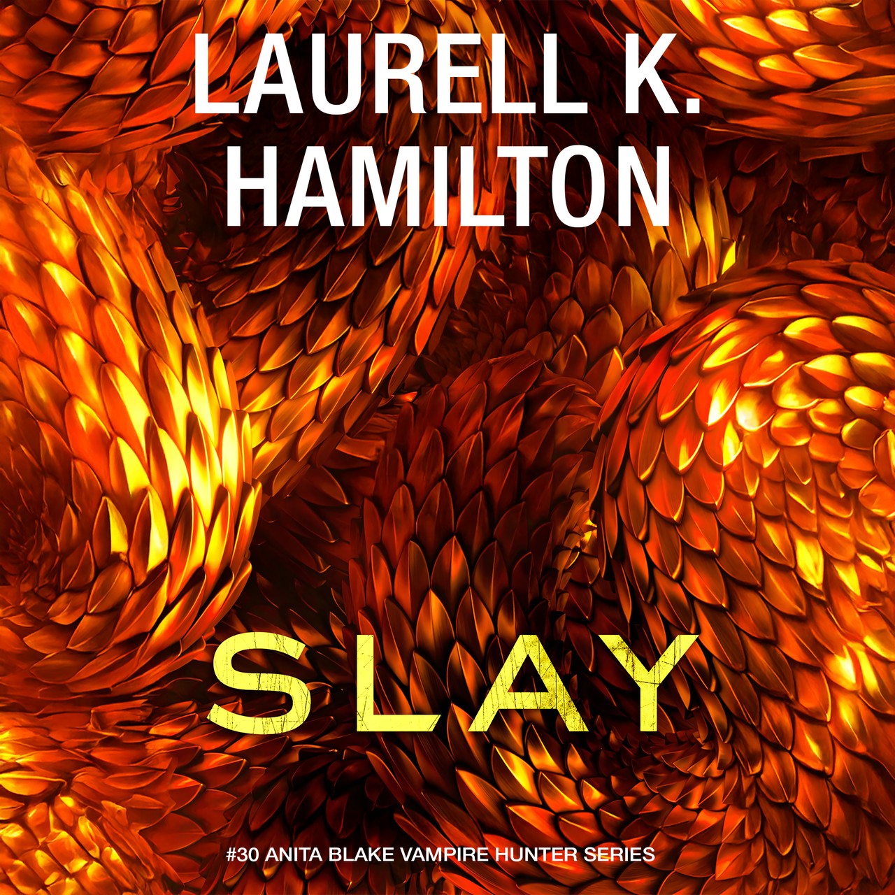 Audiobook cover for Slay