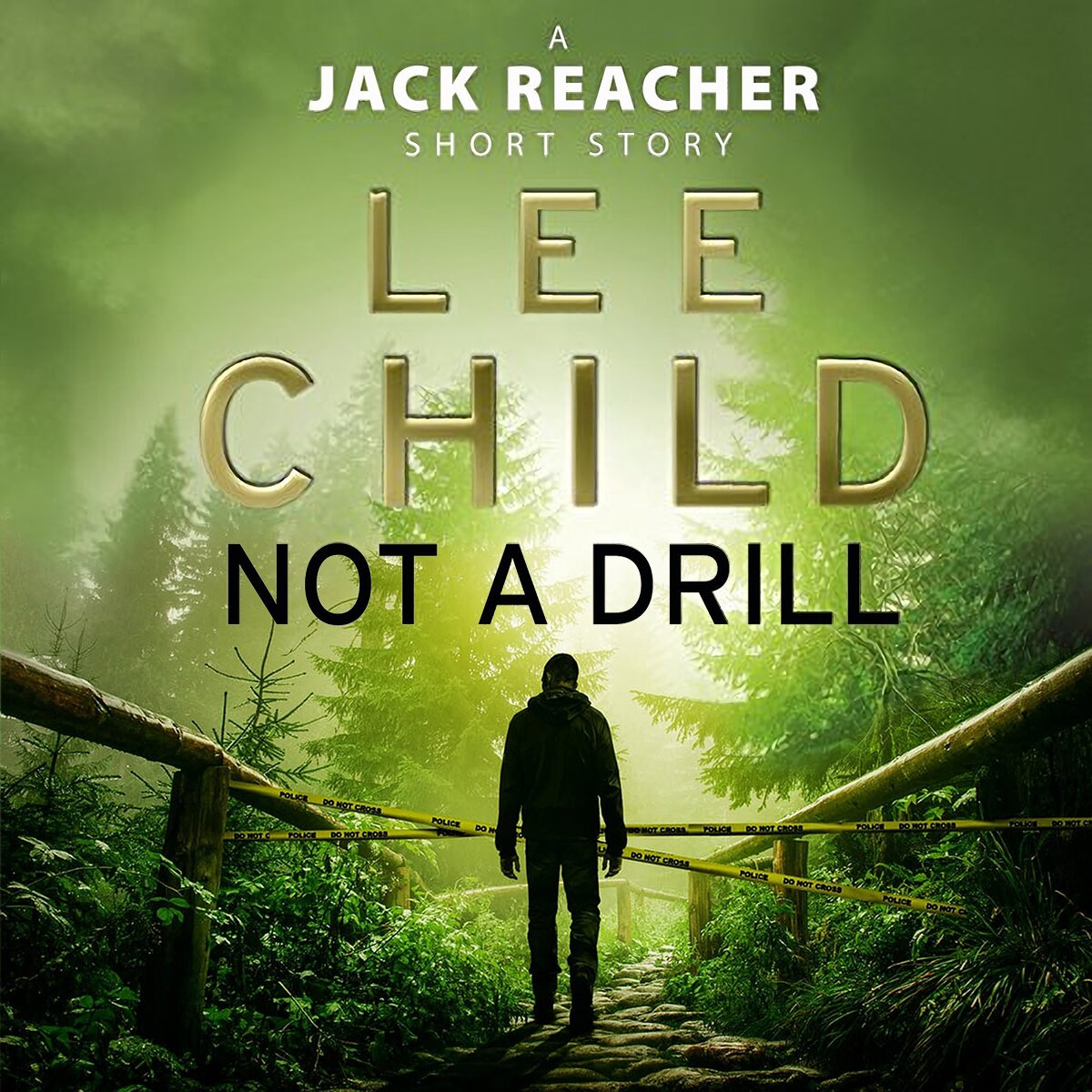 Audiobook cover for Three More Jack Reacher Novellas
