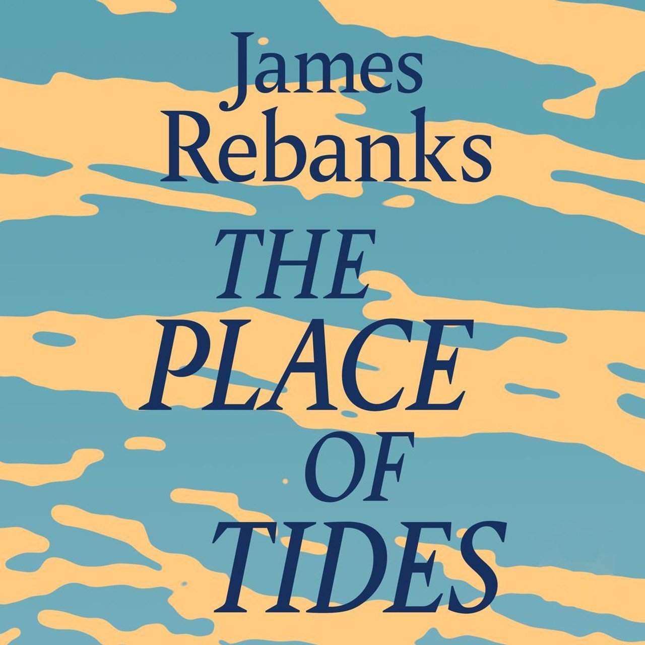 Audiobook cover for Place of Tides