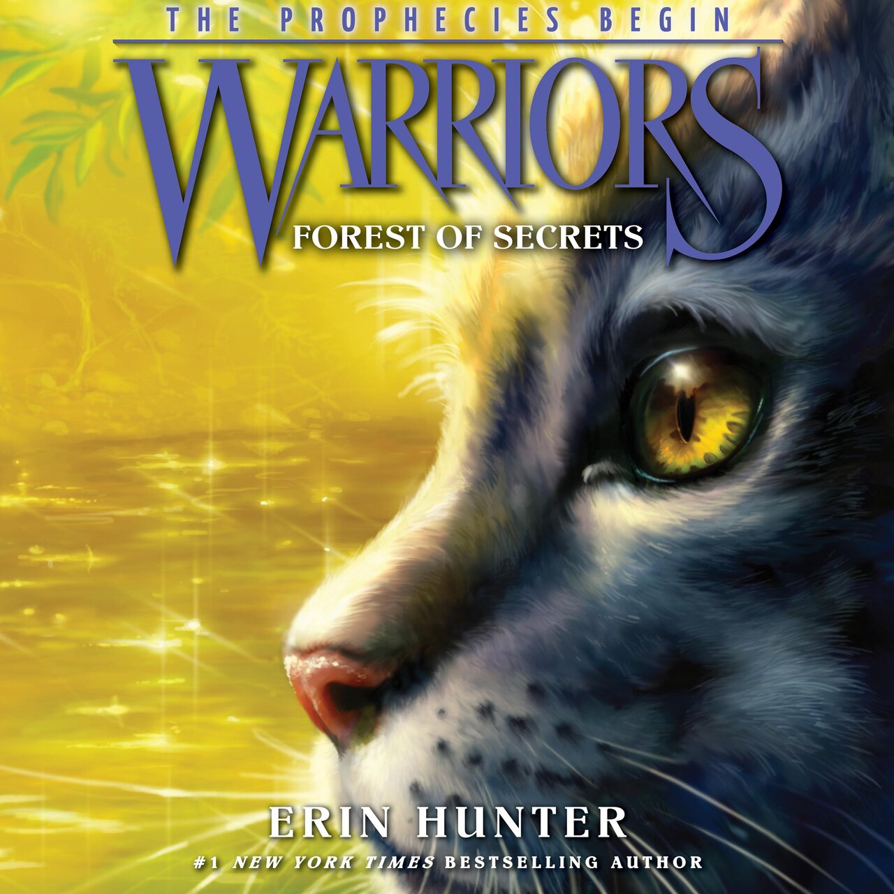 Audiobook cover for Forest of Secrets
