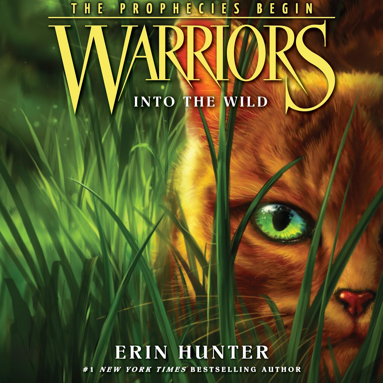 Audiobook cover for Into the Wild