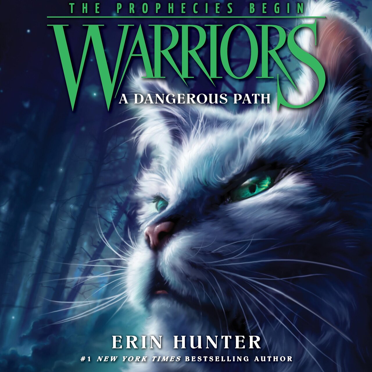 Audiobook cover for A Dangerous Path