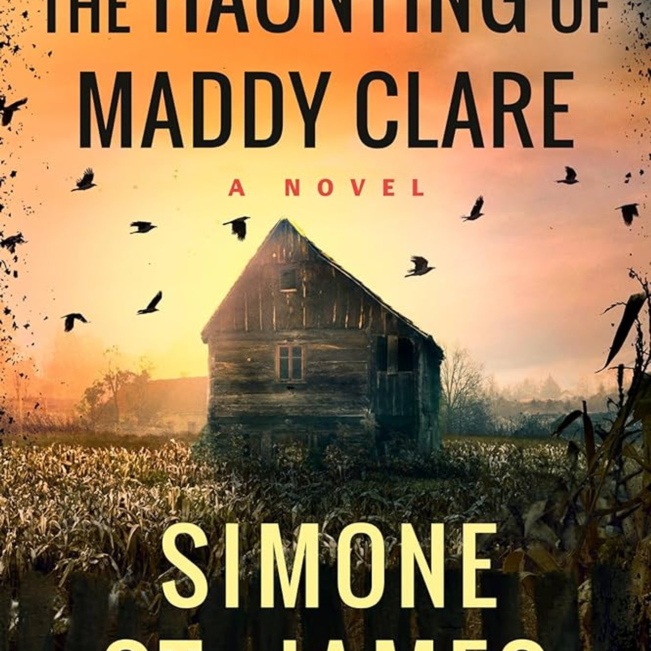 Audiobook cover for The haunting of Maddy Clare