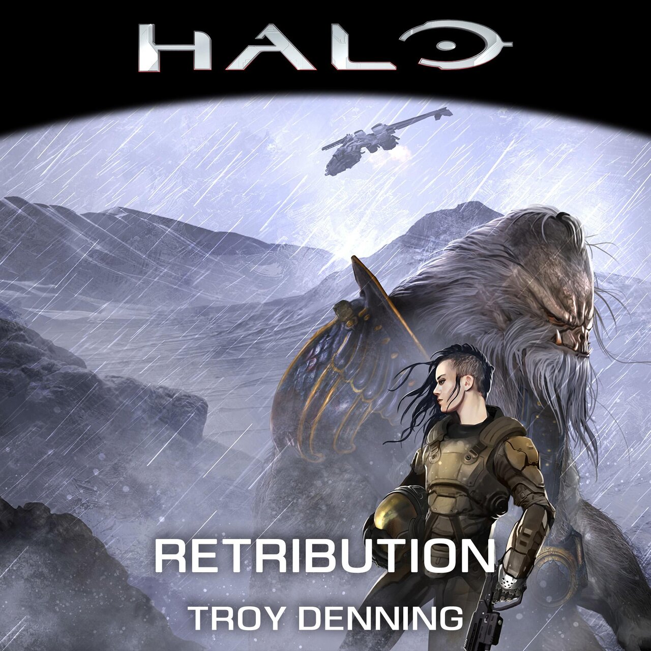 Audiobook cover for Halo