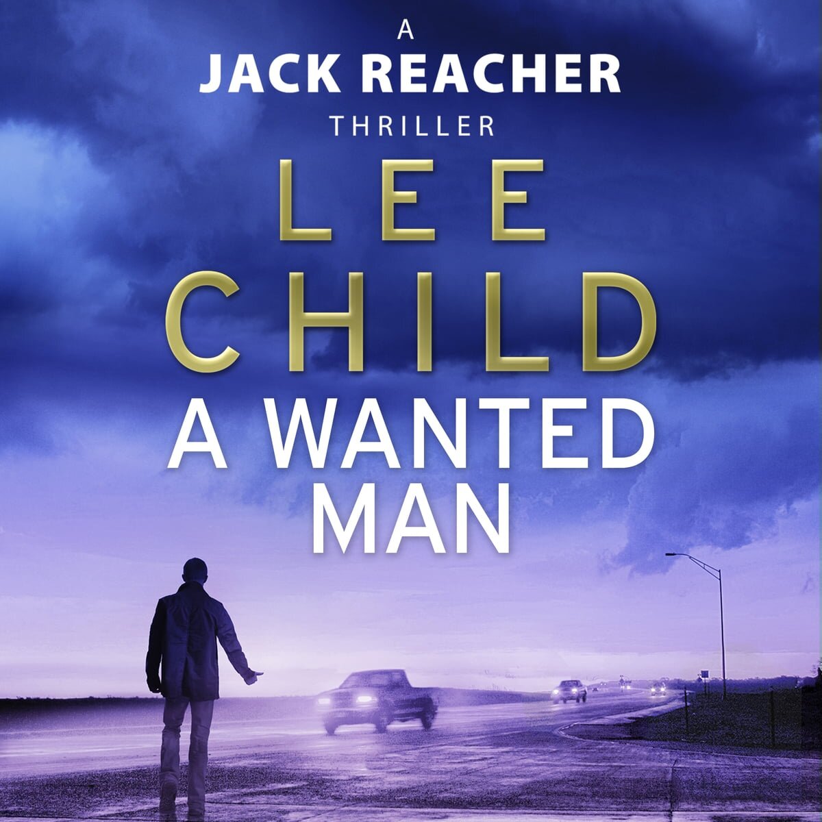 Audiobook cover for A wanted man