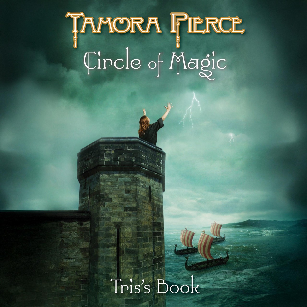 Audiobook cover for The Power in the Storm
