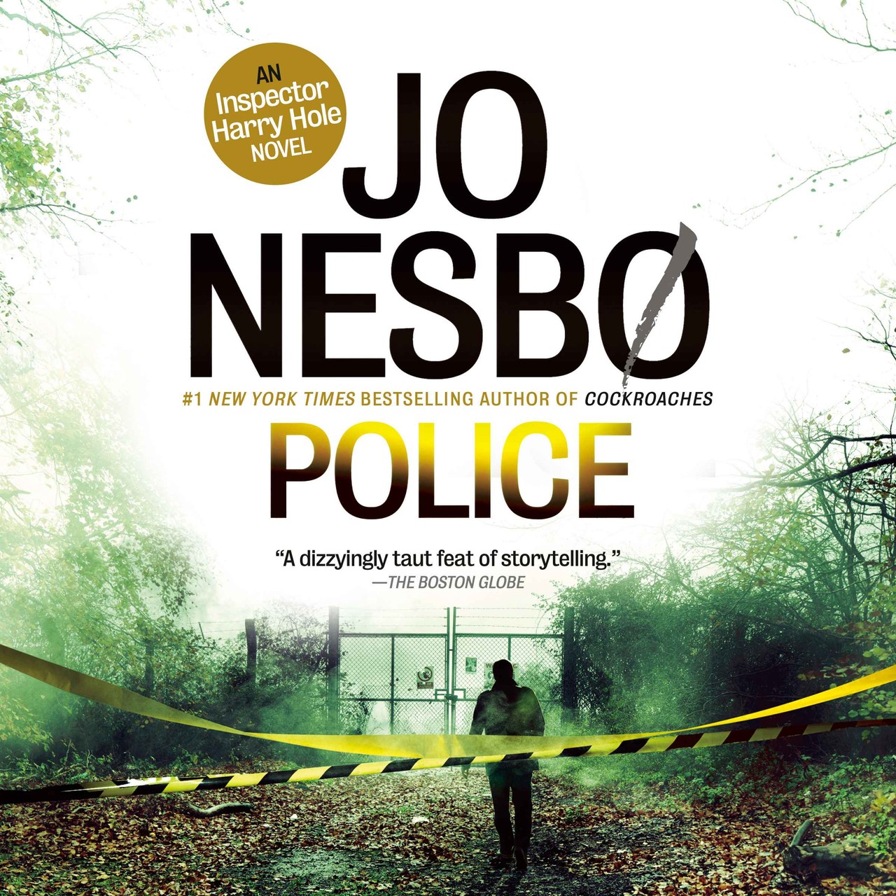 Audiobook cover for The Bat