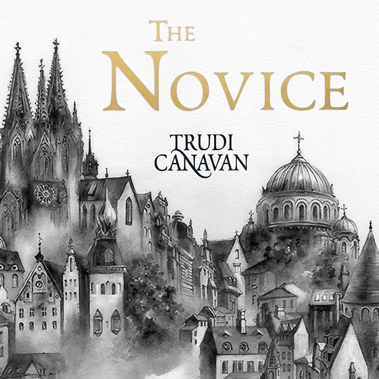 Audiobook cover for The Novice