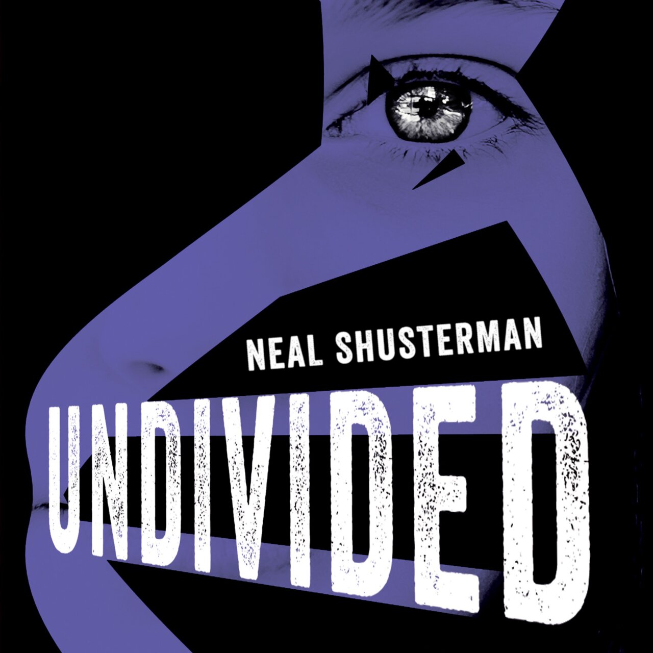 Audiobook cover for UnDivided