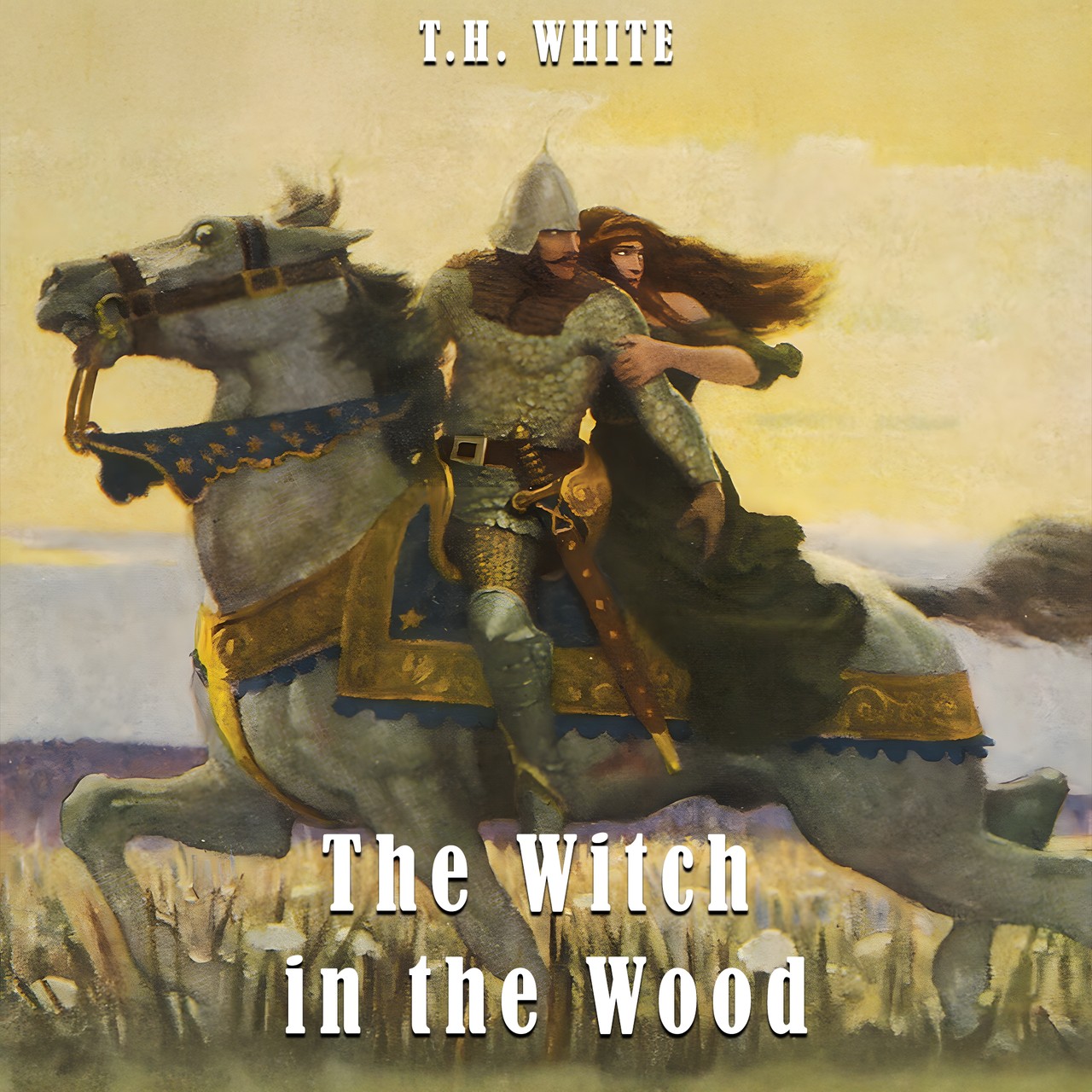 Audiobook cover for The witch in the wood