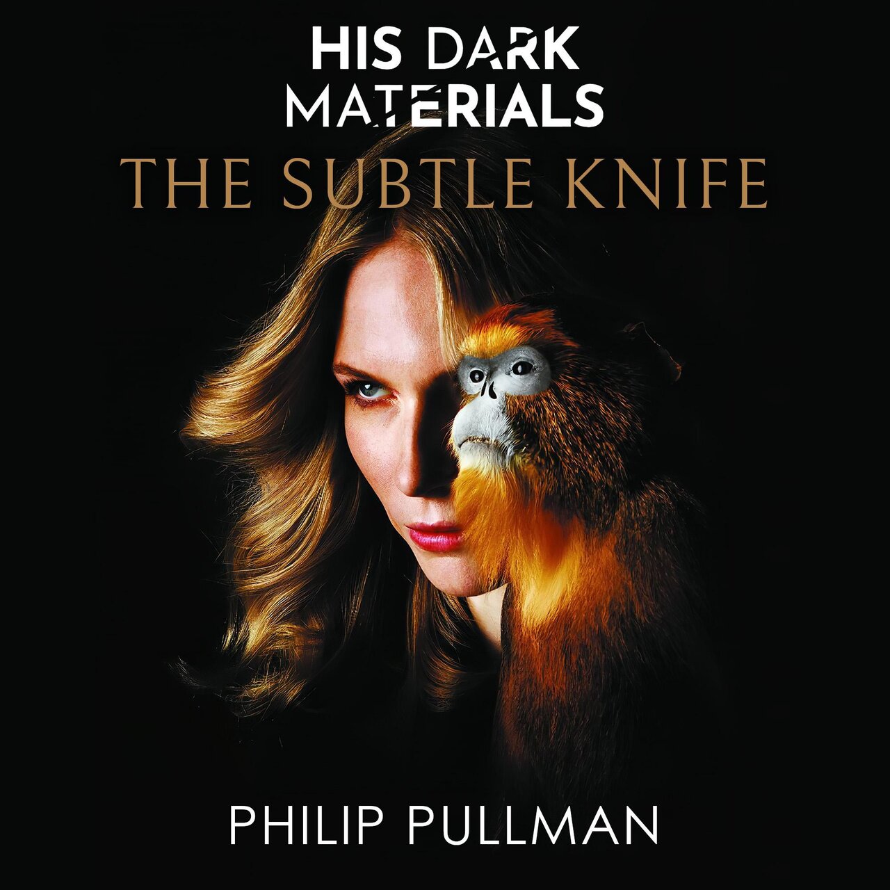 Audiobook cover for The Subtle Knife