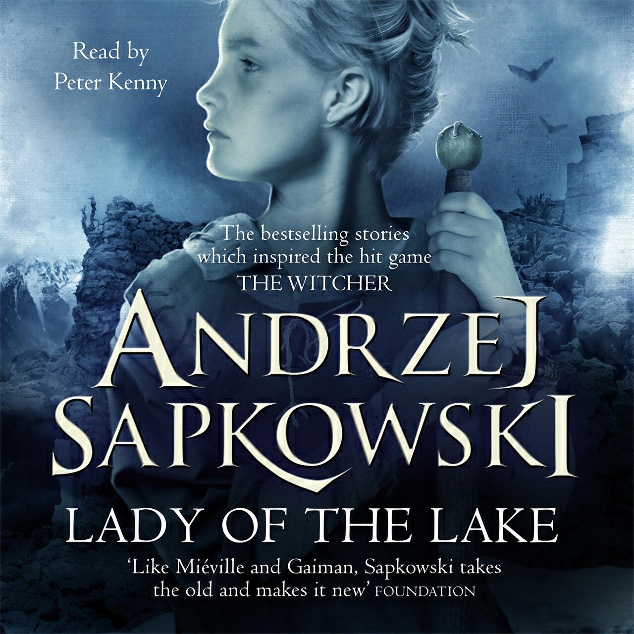 Audiobook cover for Witcher Saga,8 Books Collection Set,the Last Wish