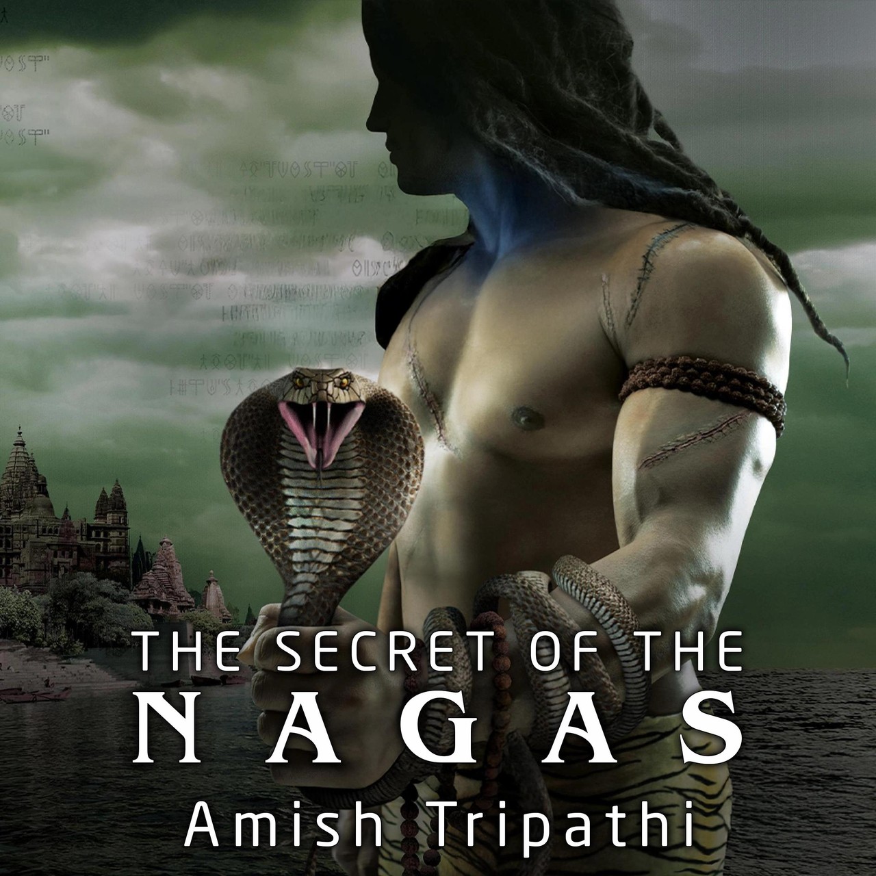 Audiobook cover for The Secret of the Nagas