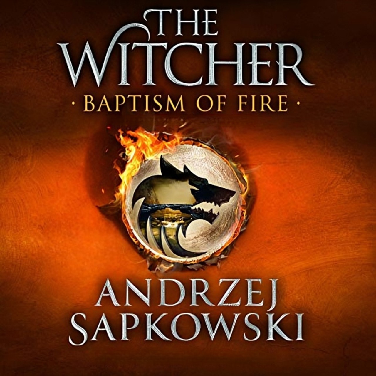 Audiobook cover for Witcher Saga,8 Books Collection Set,the Last Wish
