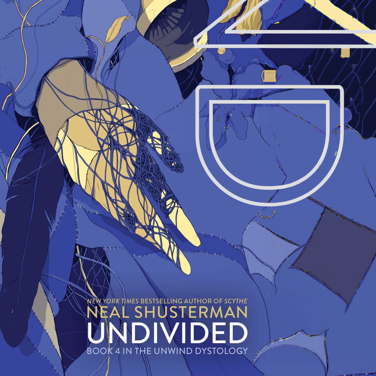 Audiobook cover for UnDivided