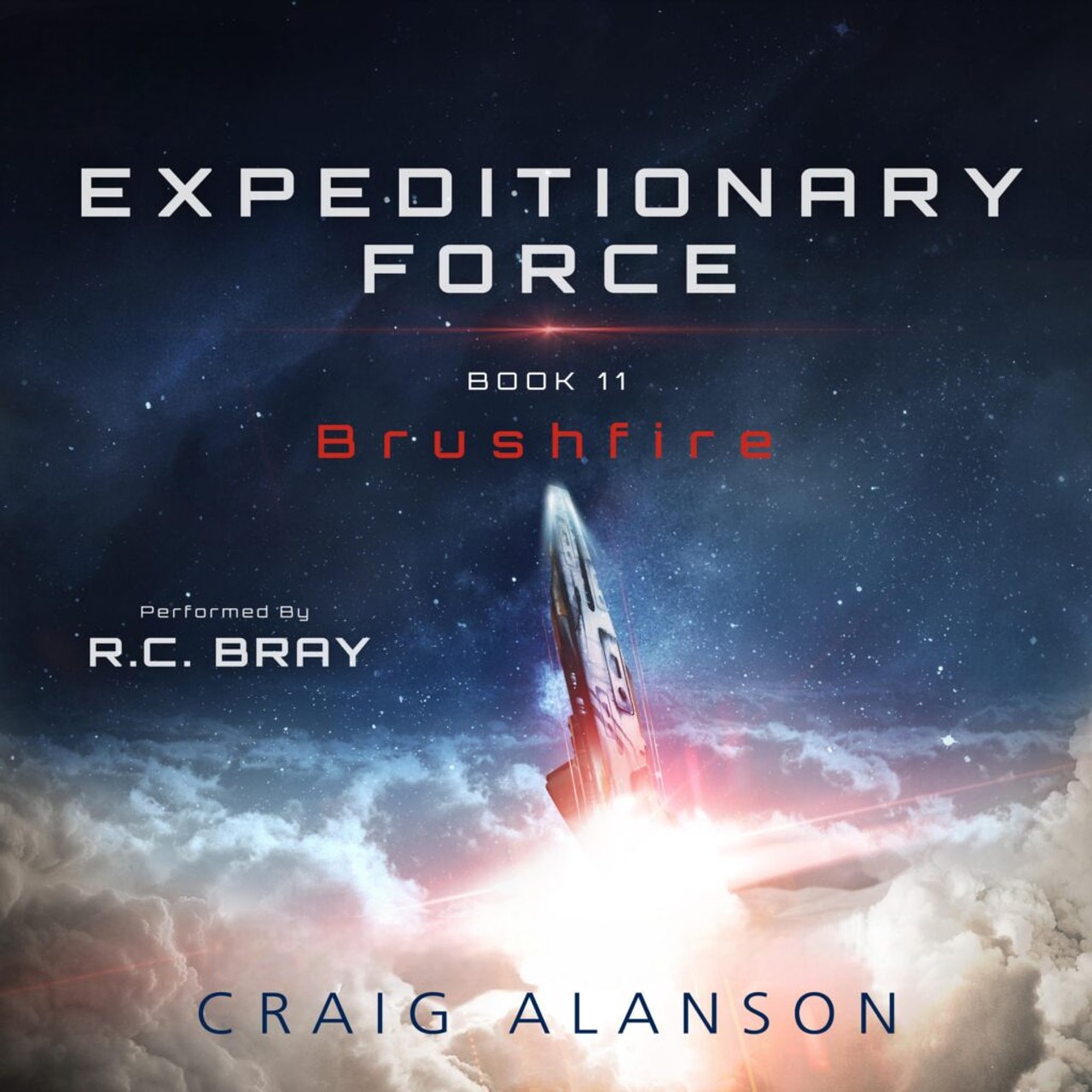 Audiobook cover for Brushfire