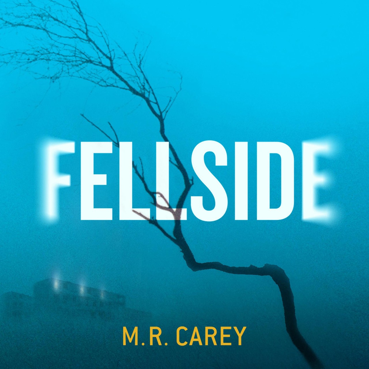 Audiobook cover