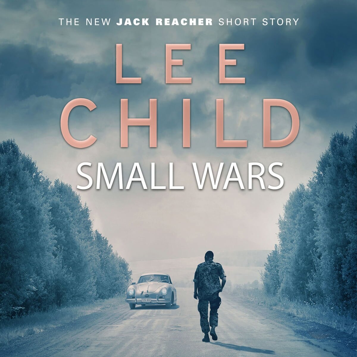 Audiobook cover for Small Wars : (the New Jack Reacher Short Story)