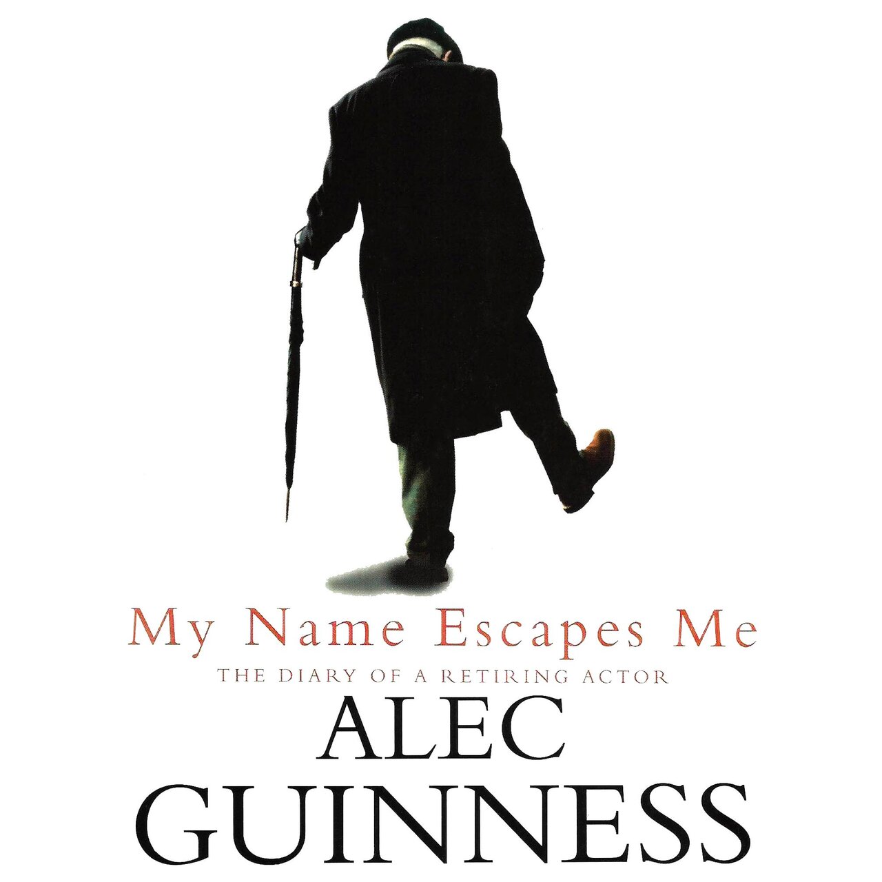 Audiobook cover for My Name Escapes Me