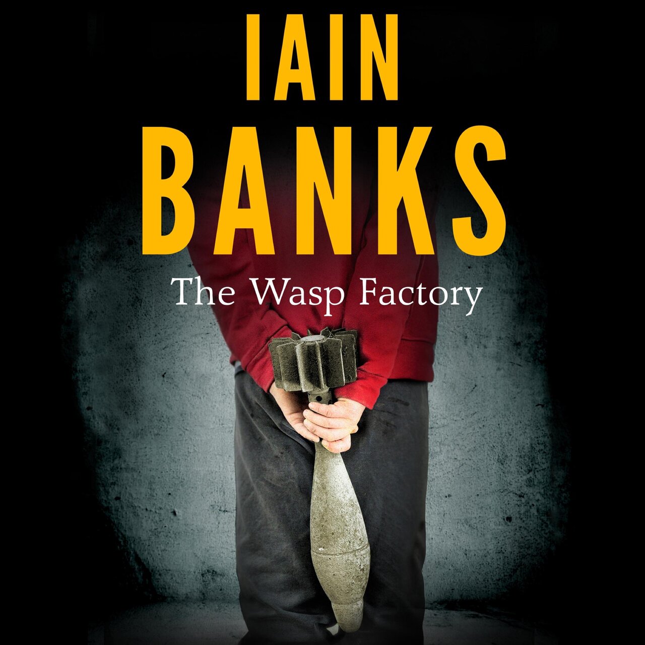 Audiobook cover for The Wasp Factory
