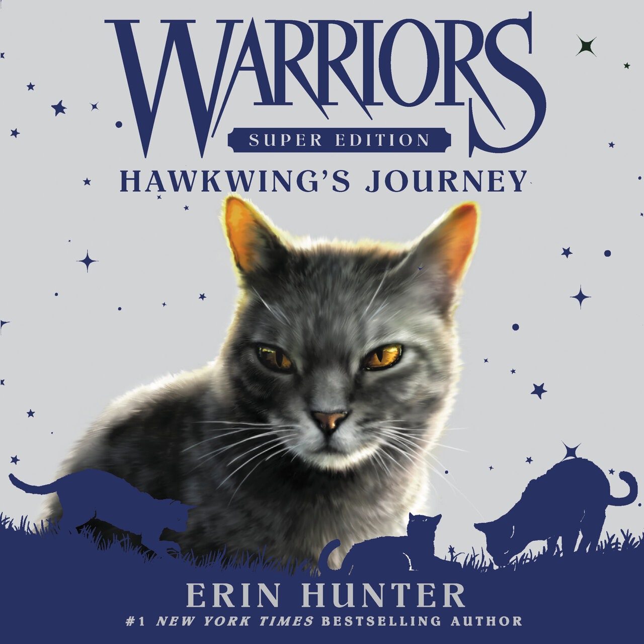 Audiobook cover for Hawkwing's Journey