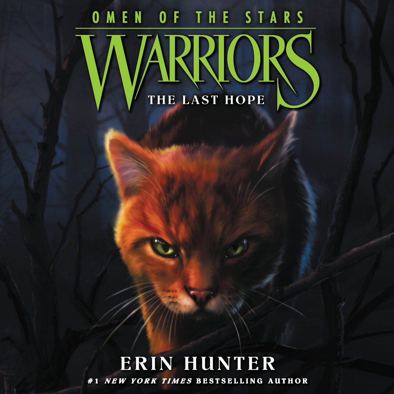 Audiobook cover for The Last Hope