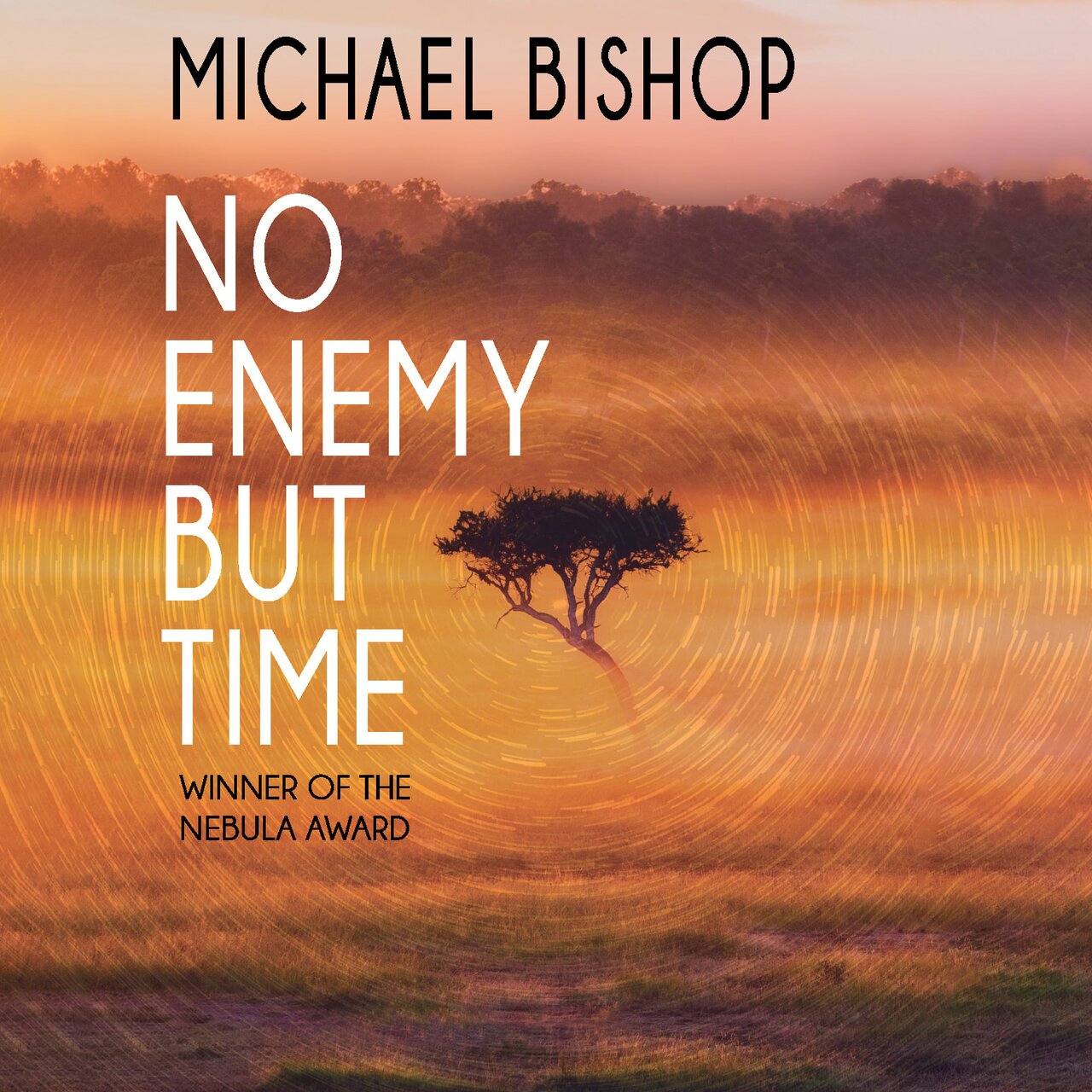 Audiobook cover for No Enemy But Time
