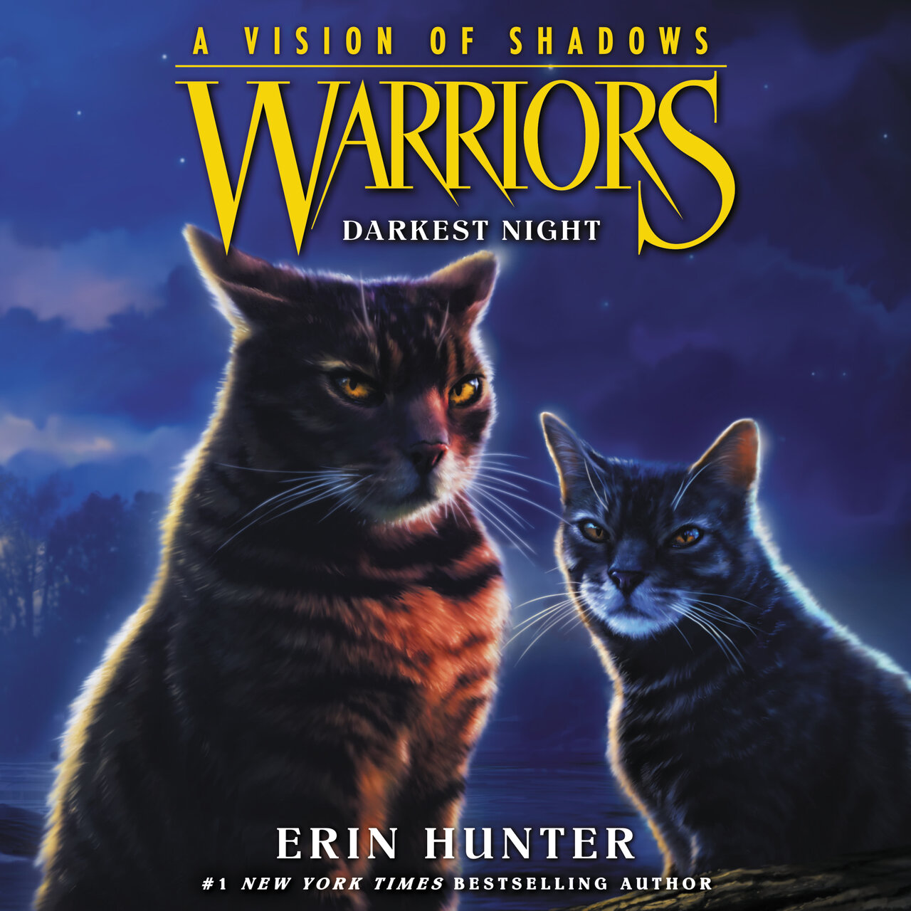 Audiobook cover for Darkest Night