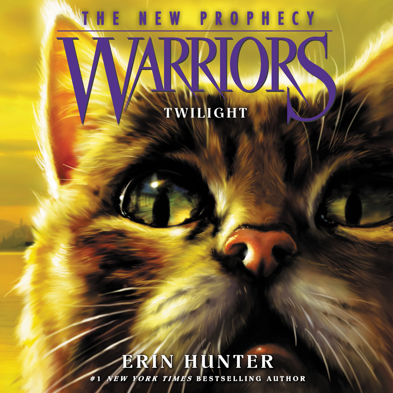 Audiobook cover for Twilight