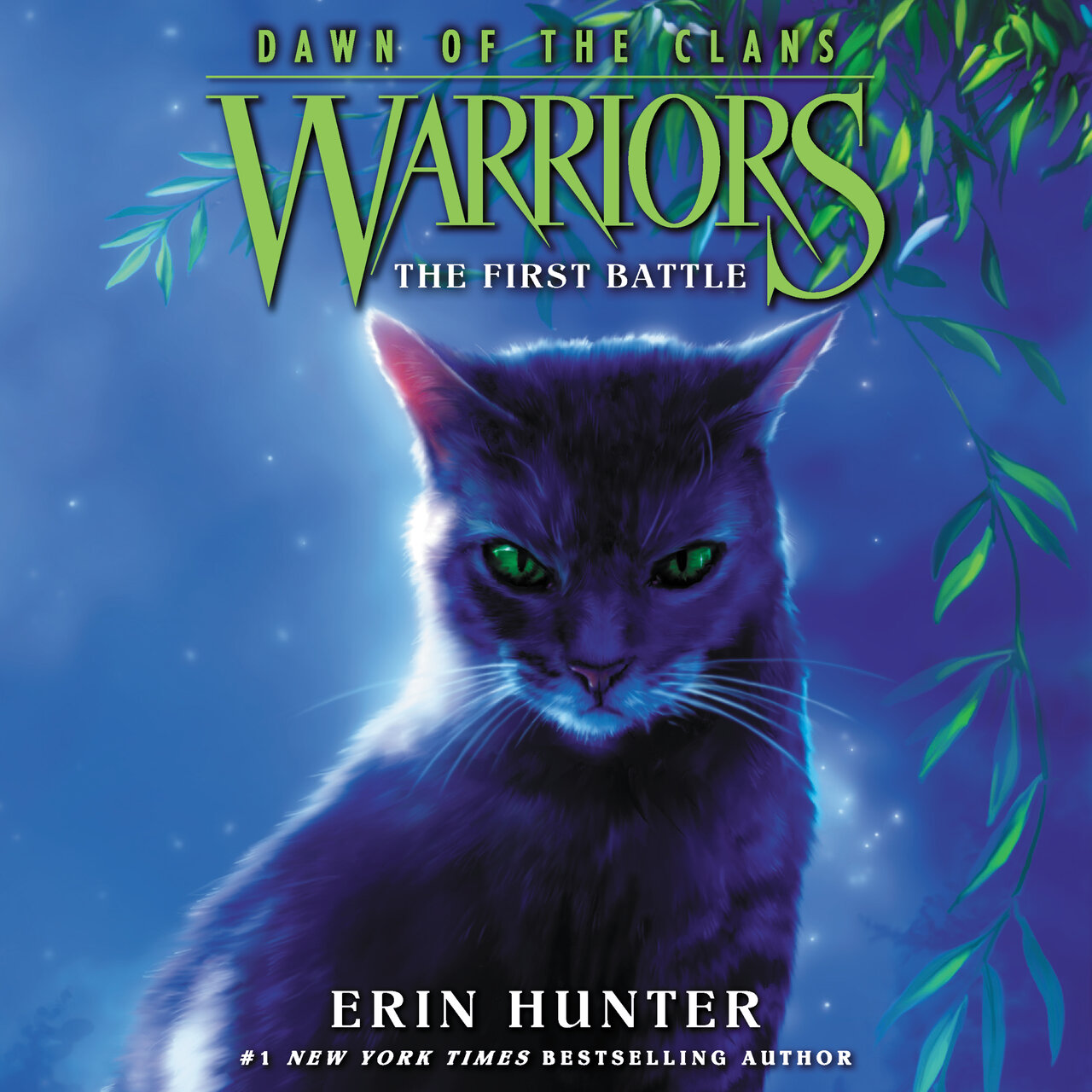 Audiobook cover for The First Battle