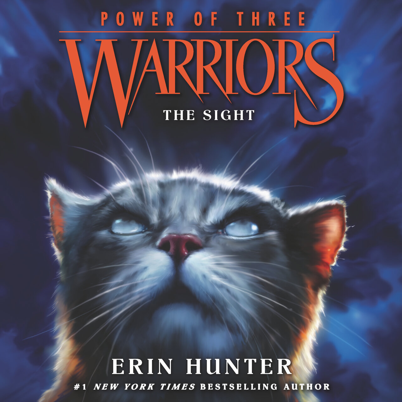 Audiobook cover for The Sight