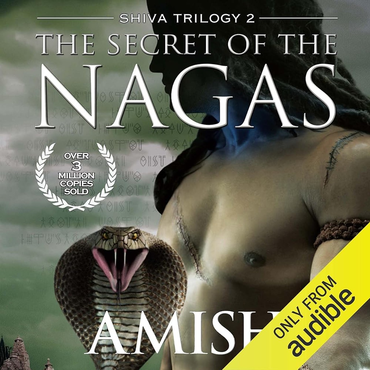 Audiobook cover for The Secret of the Nagas