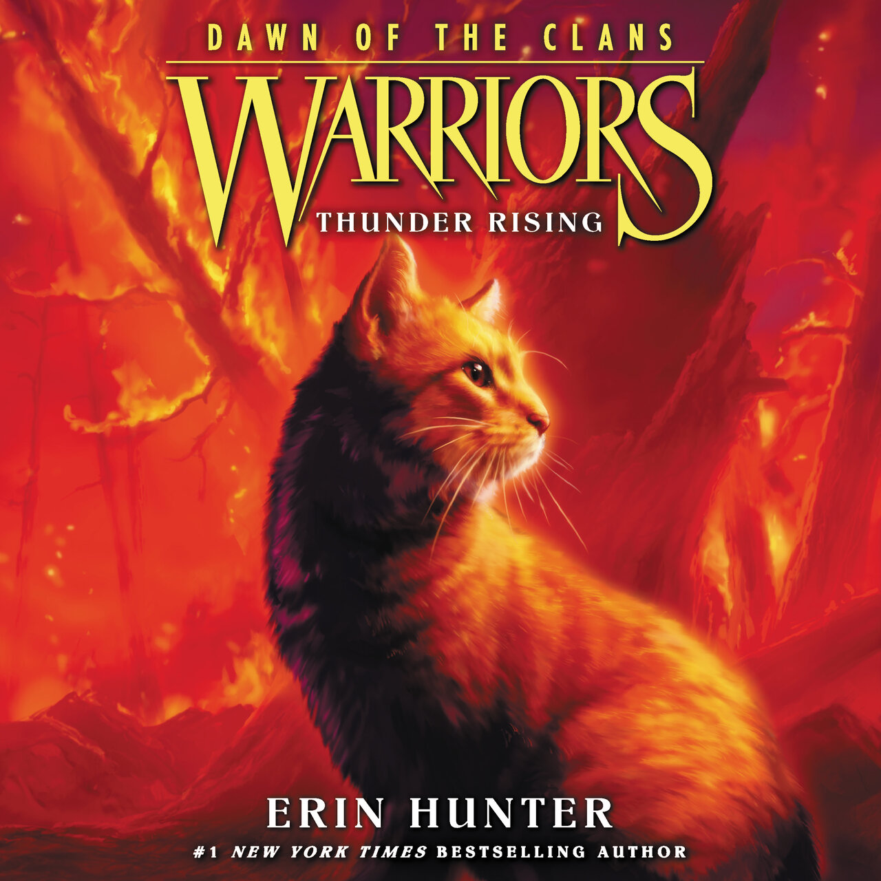 Audiobook cover for Thunder Rising