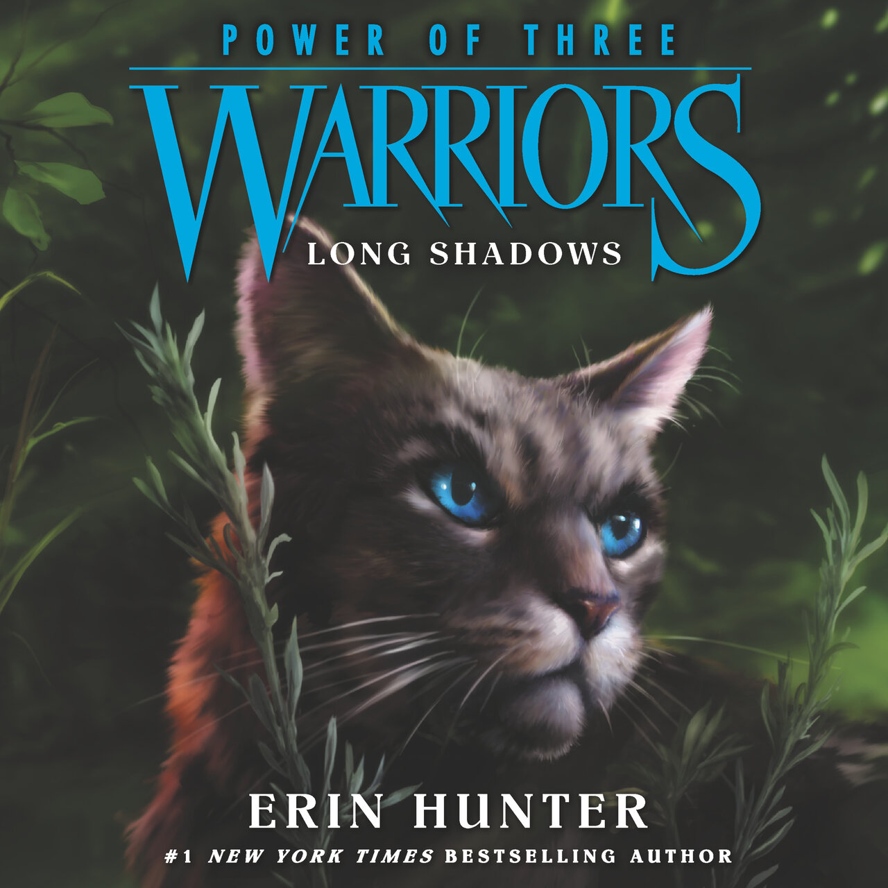 Audiobook cover for Long Shadows