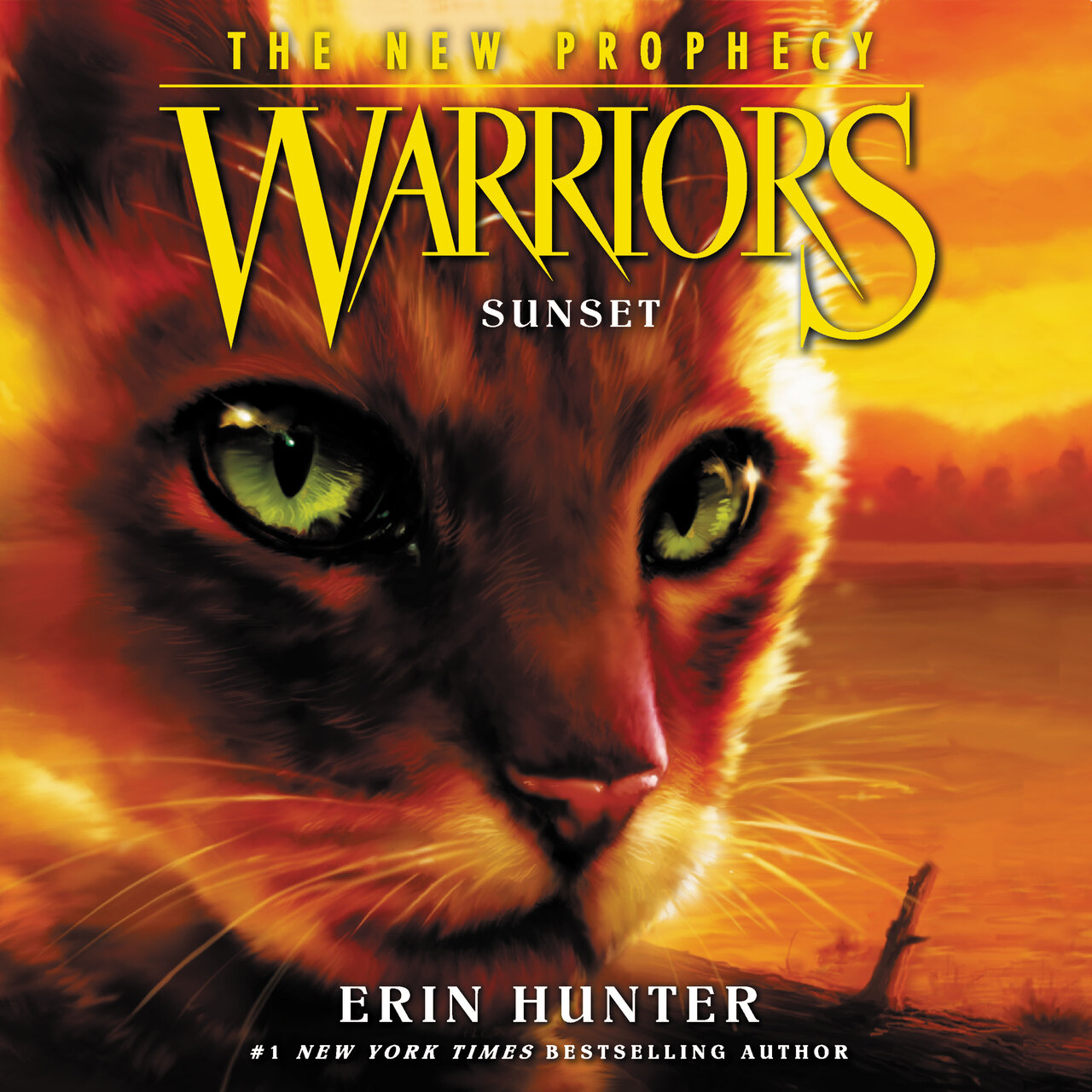 Audiobook cover for Sunset