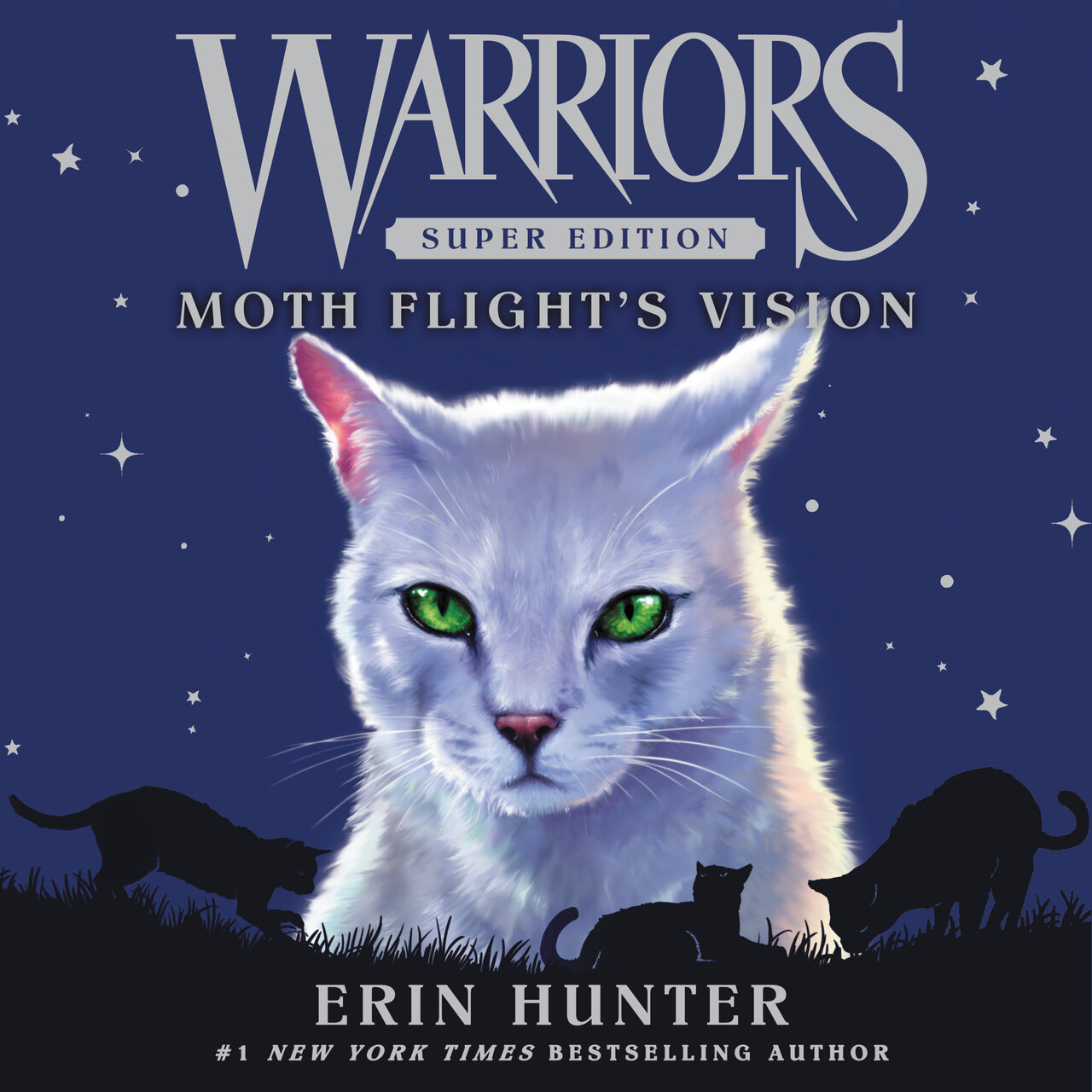 Audiobook cover for Moth Flight's Vision