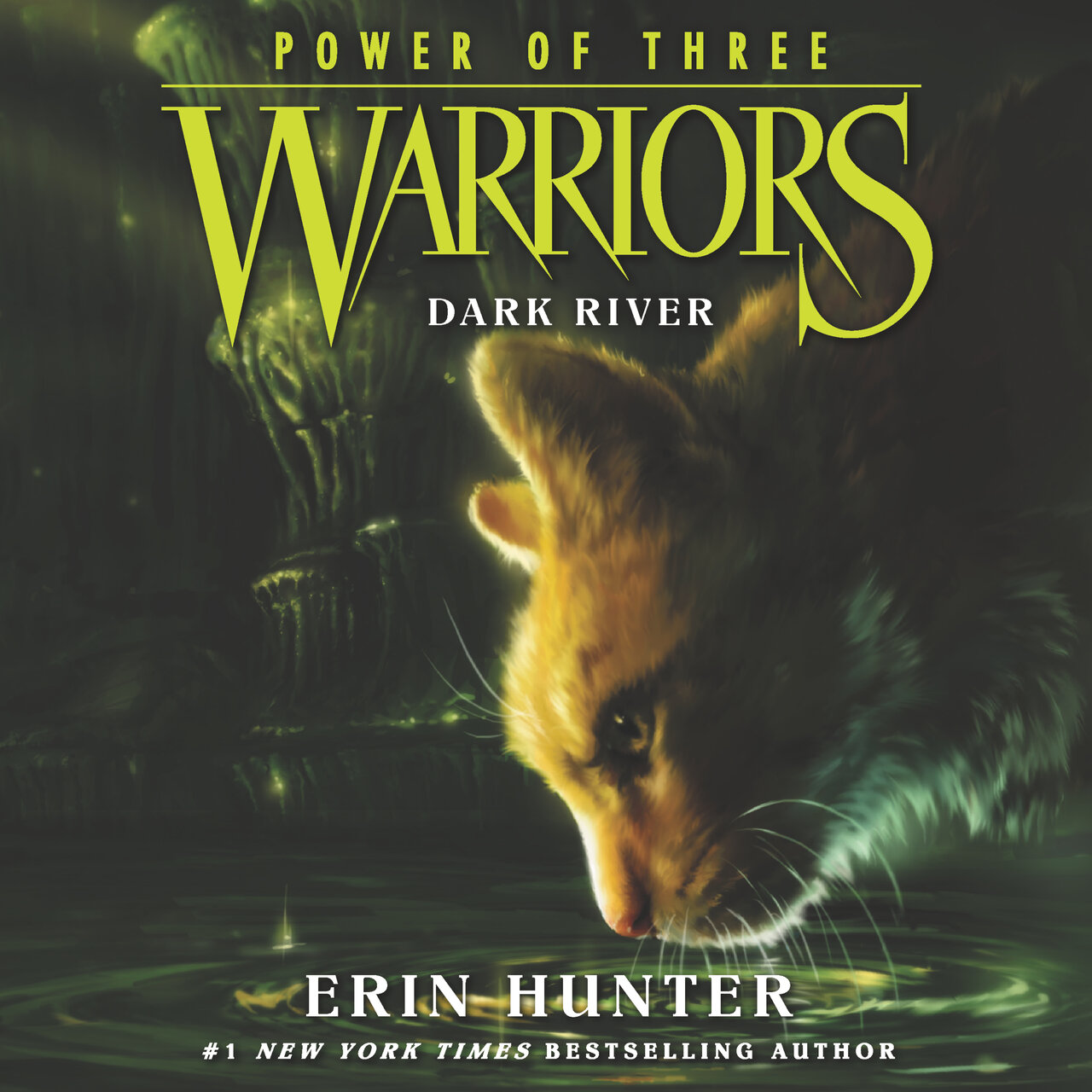 Audiobook cover for Dark River