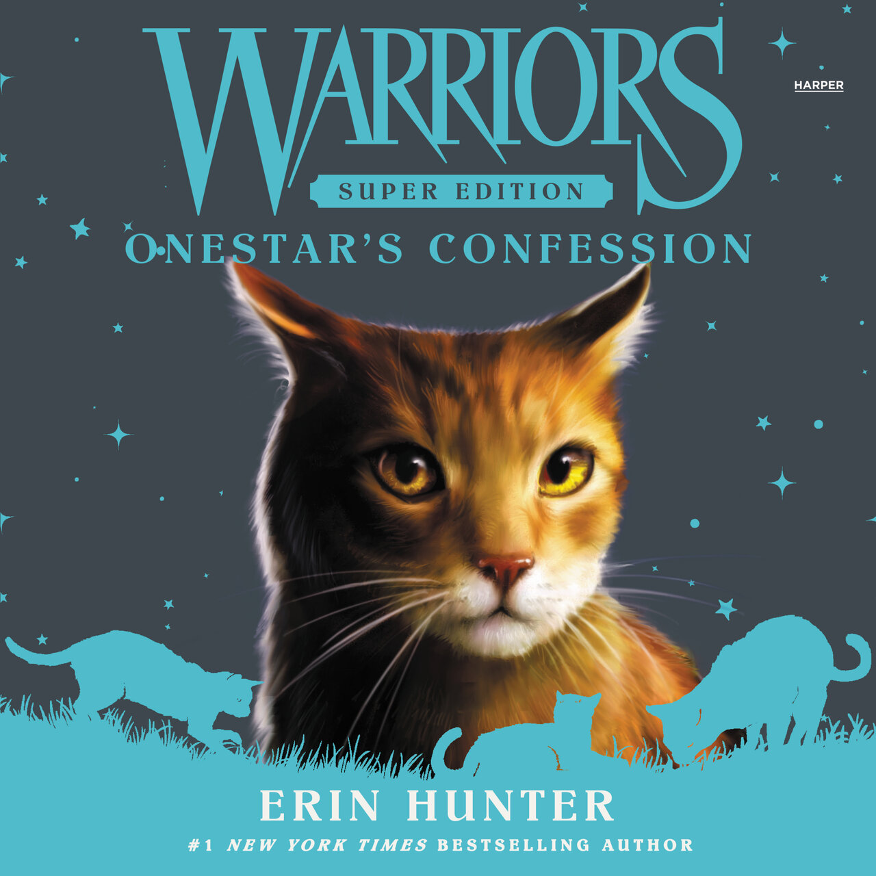 Audiobook cover for Onestar's Confession