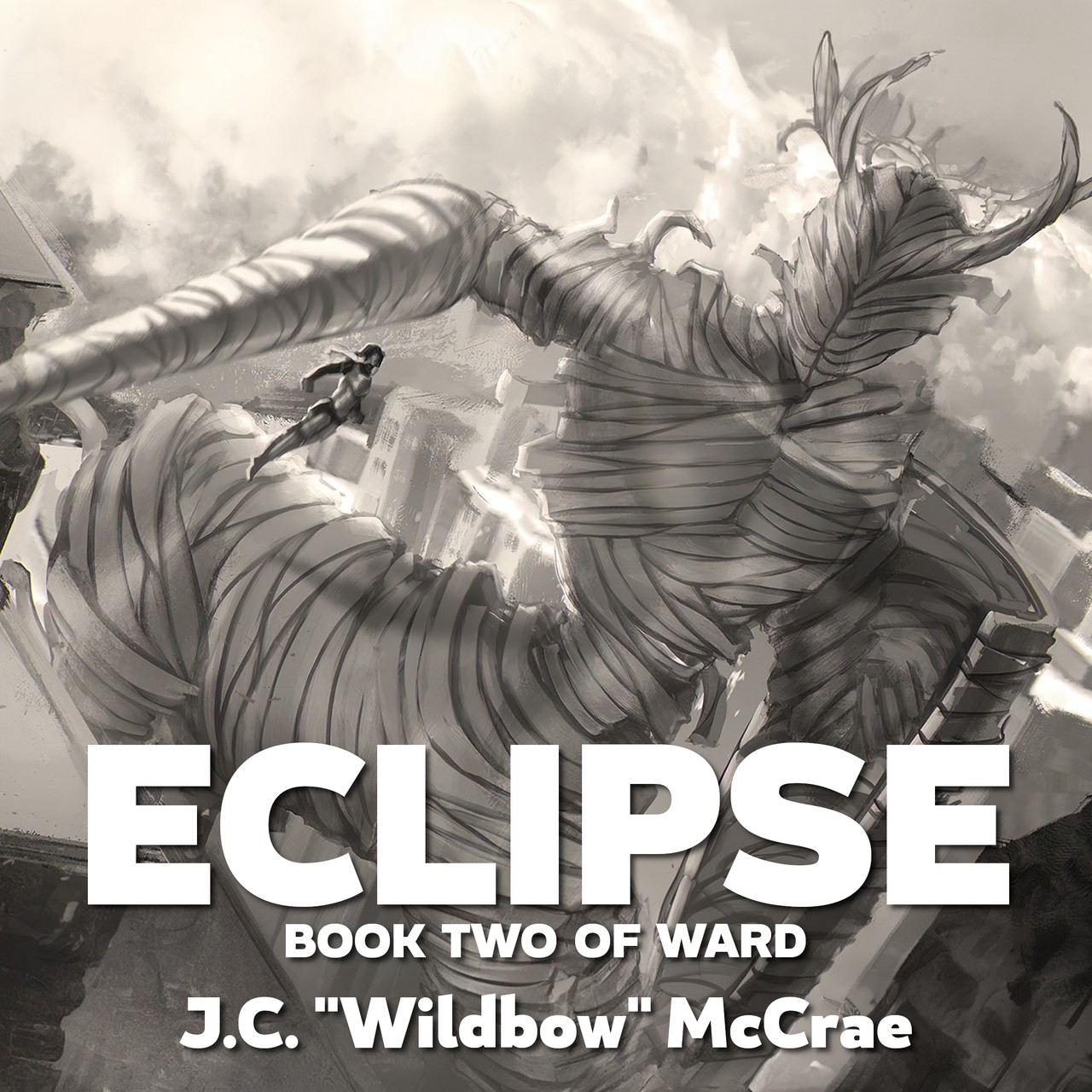 Audiobook cover for Waiting for an Eclipse, Book 2 of the Wounded Warriors Series