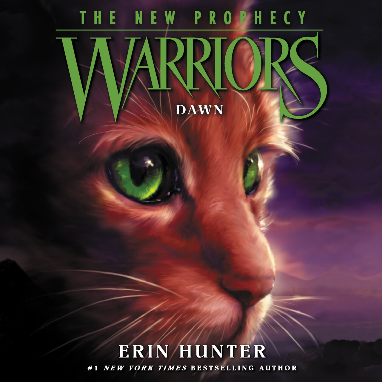 Audiobook cover for Dawn