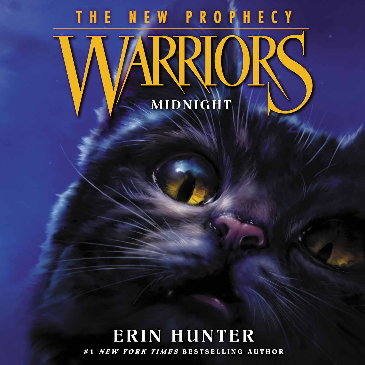 Audiobook cover for Midnight