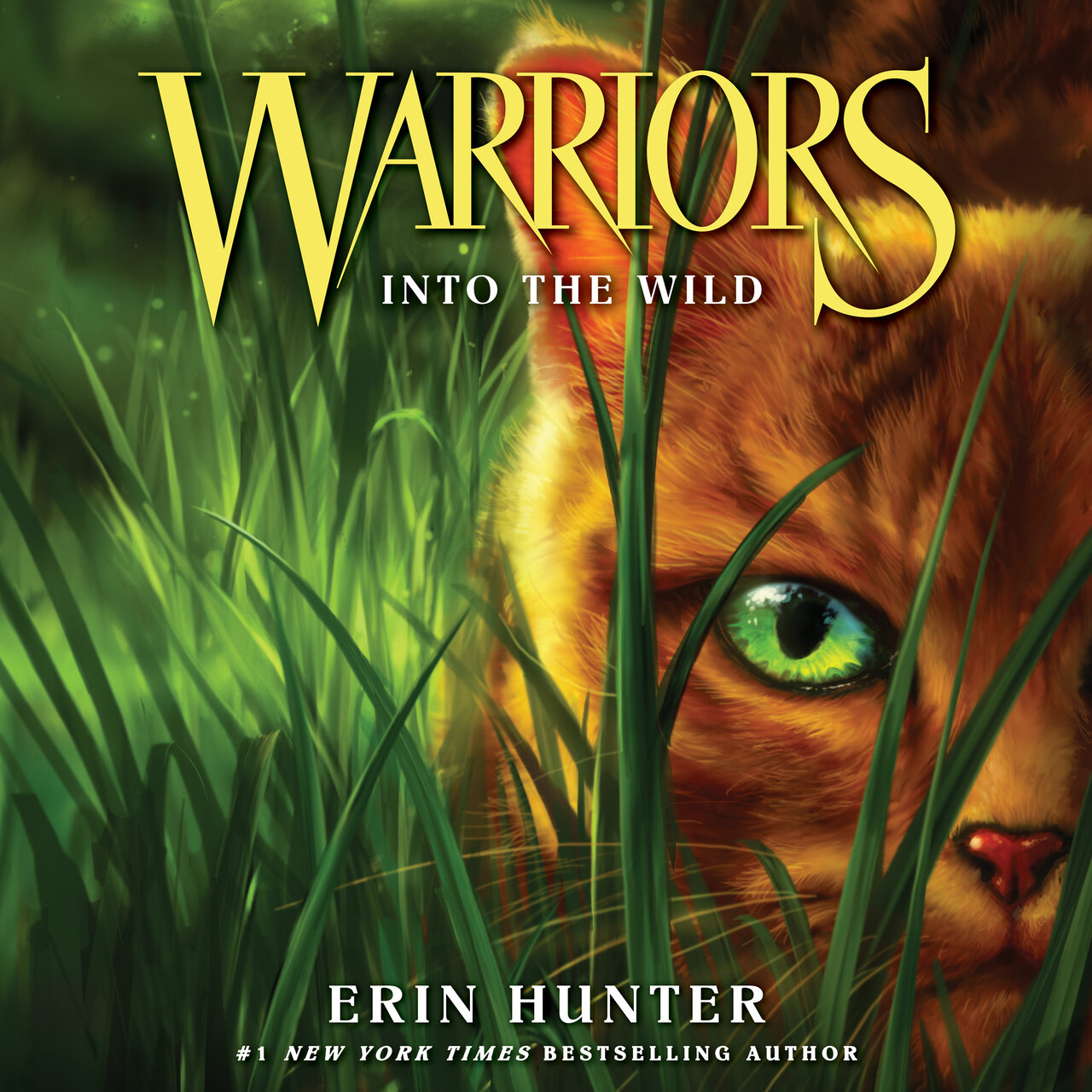 Audiobook cover for Into the Wild