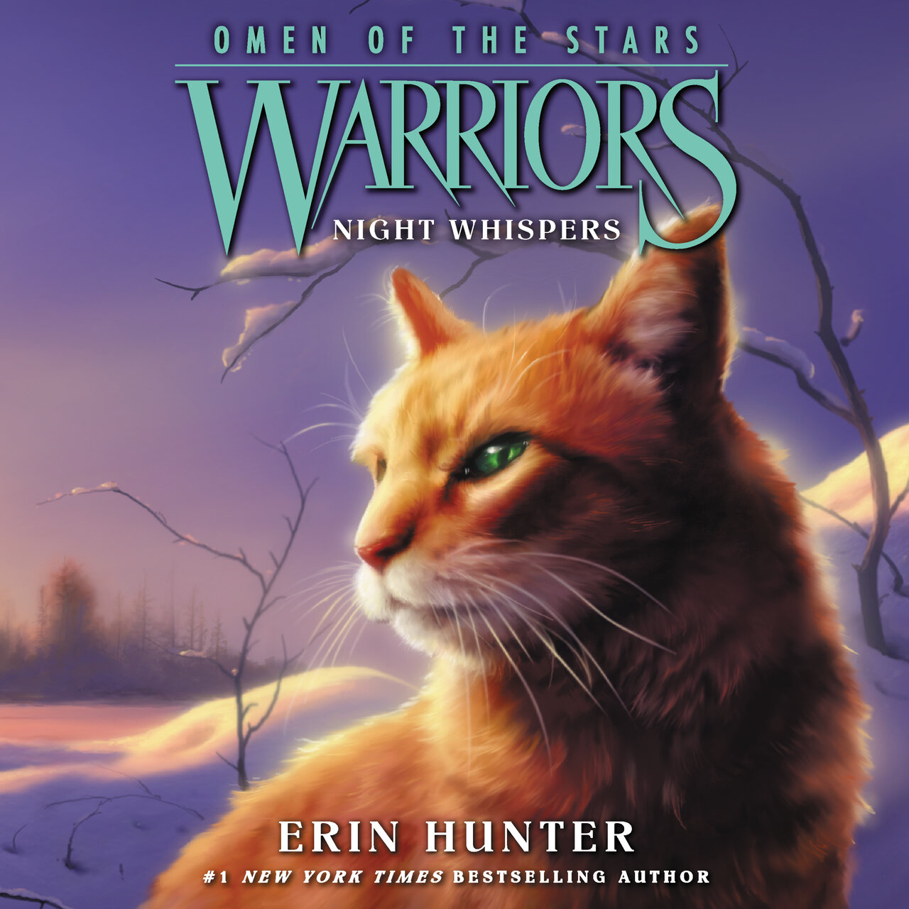 Audiobook cover for Night Whispers